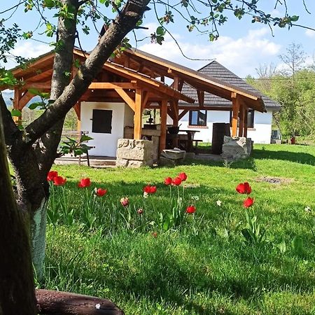 Casa Livada Bunicii Villa Tirgu Ocna Bagian luar foto
