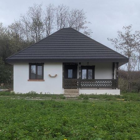 Casa Livada Bunicii Villa Tirgu Ocna Bagian luar foto