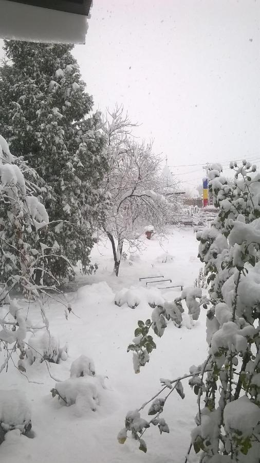 Casa Livada Bunicii Villa Tirgu Ocna Bagian luar foto