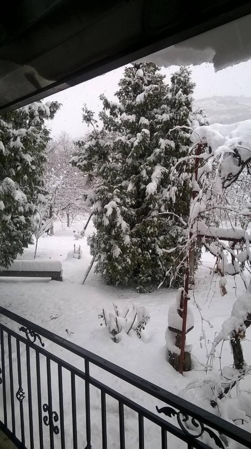 Casa Livada Bunicii Villa Tirgu Ocna Bagian luar foto