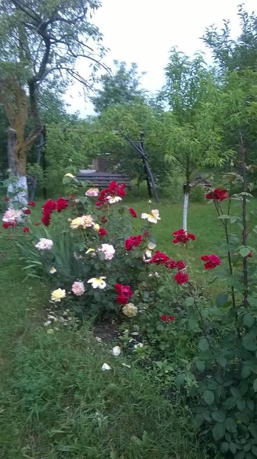 Casa Livada Bunicii Villa Tirgu Ocna Bagian luar foto
