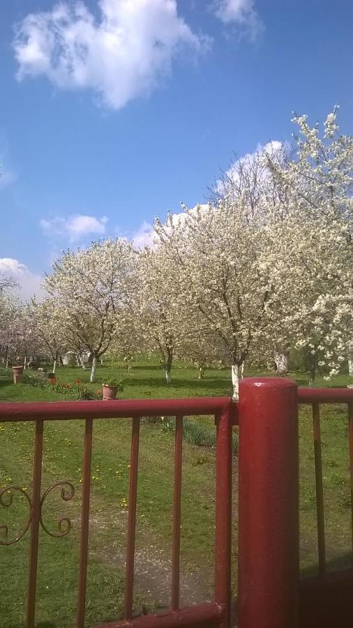Casa Livada Bunicii Villa Tirgu Ocna Bagian luar foto