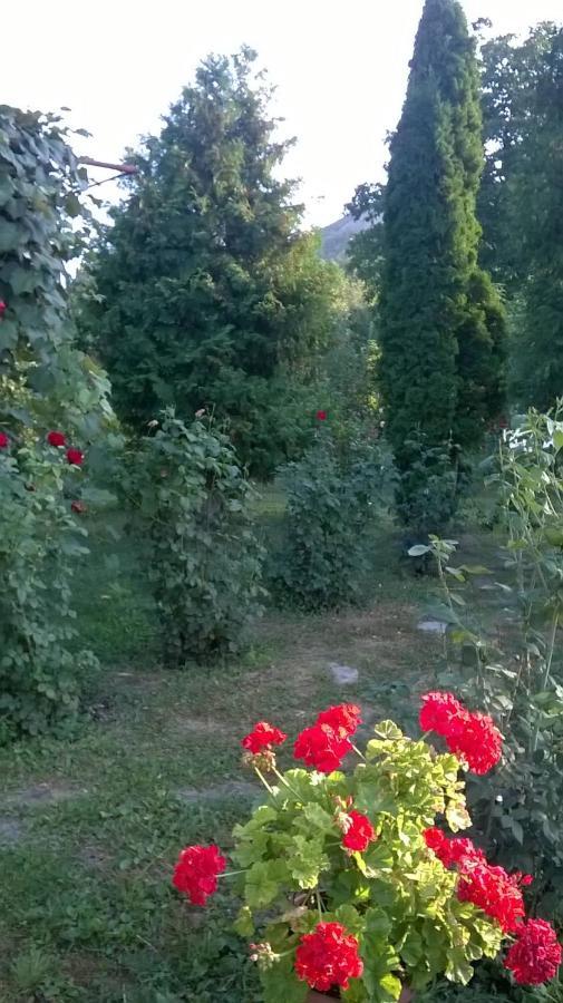 Casa Livada Bunicii Villa Tirgu Ocna Bagian luar foto