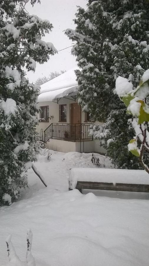 Casa Livada Bunicii Villa Tirgu Ocna Bagian luar foto