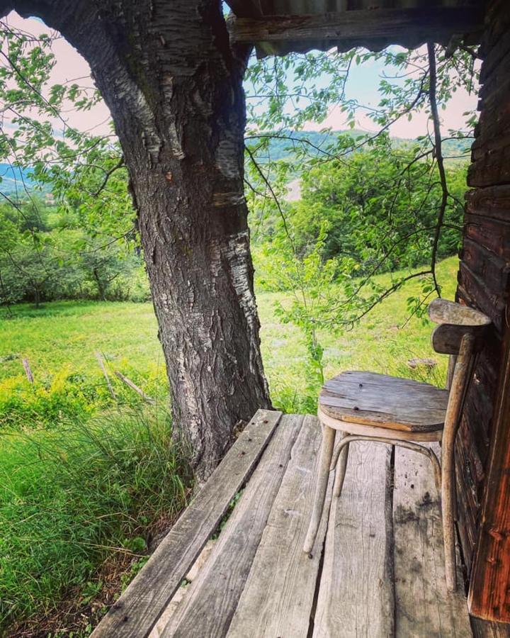 Casa Livada Bunicii Villa Tirgu Ocna Bagian luar foto