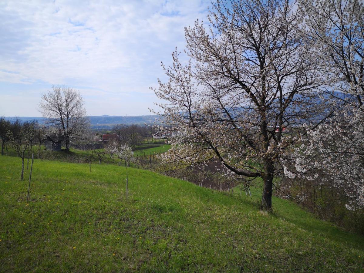 Casa Livada Bunicii Villa Tirgu Ocna Bagian luar foto