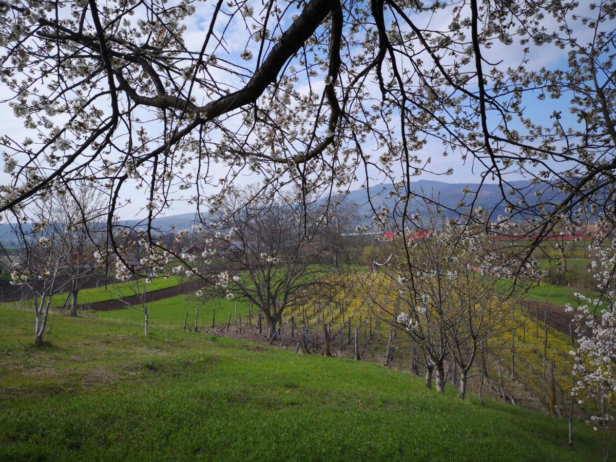 Casa Livada Bunicii Villa Tirgu Ocna Bagian luar foto
