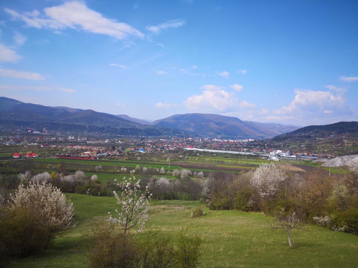 Casa Livada Bunicii Villa Tirgu Ocna Bagian luar foto