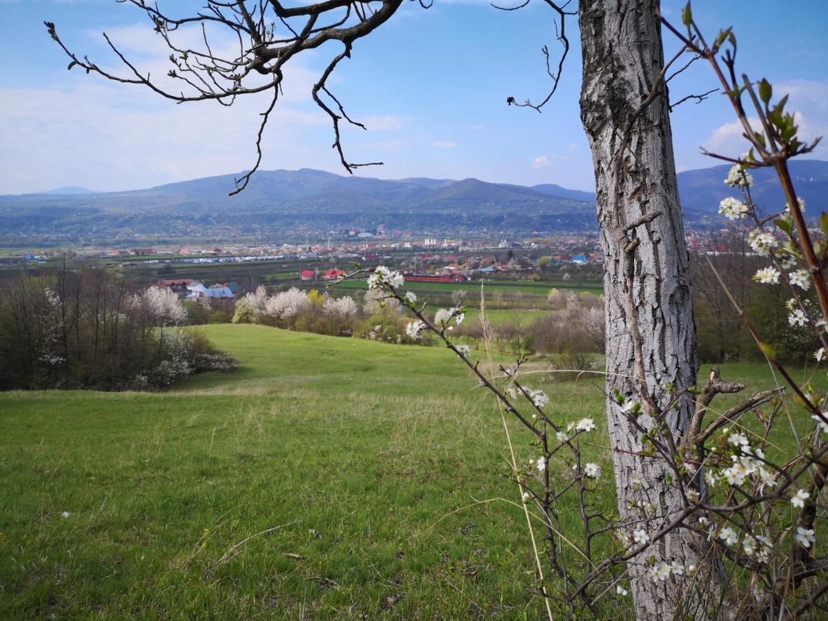 Casa Livada Bunicii Villa Tirgu Ocna Bagian luar foto
