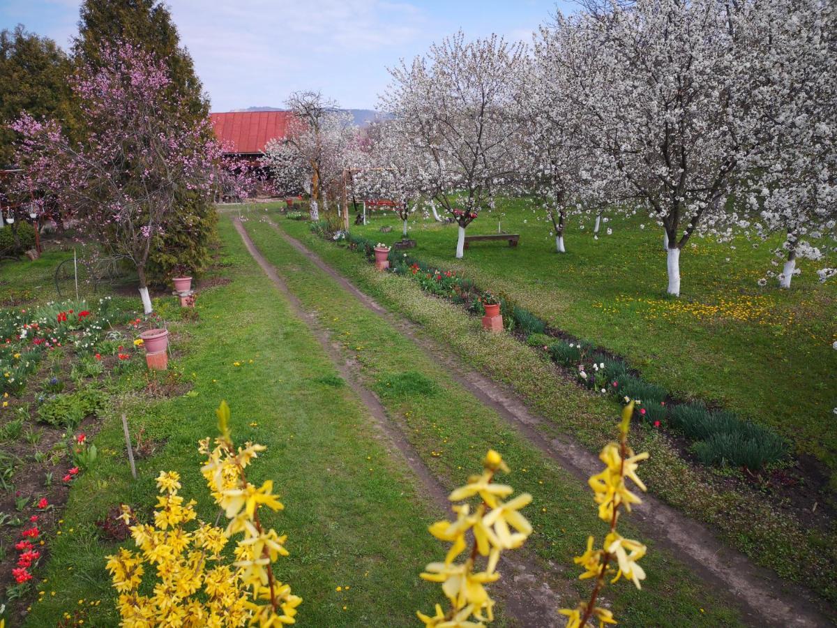 Casa Livada Bunicii Villa Tirgu Ocna Bagian luar foto