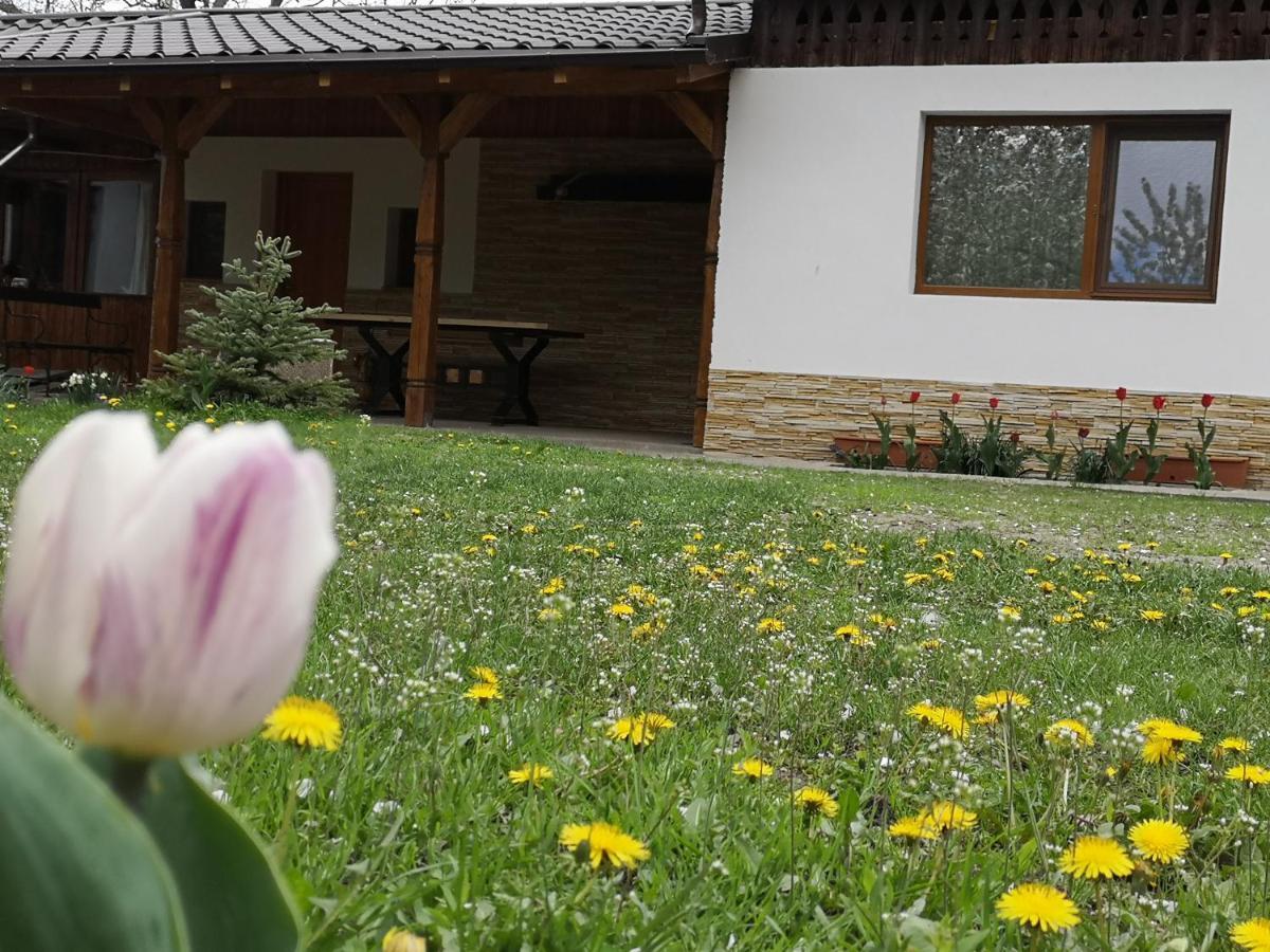 Casa Livada Bunicii Villa Tirgu Ocna Bagian luar foto
