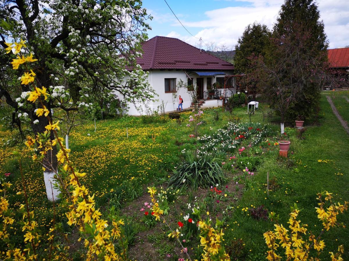 Casa Livada Bunicii Villa Tirgu Ocna Bagian luar foto