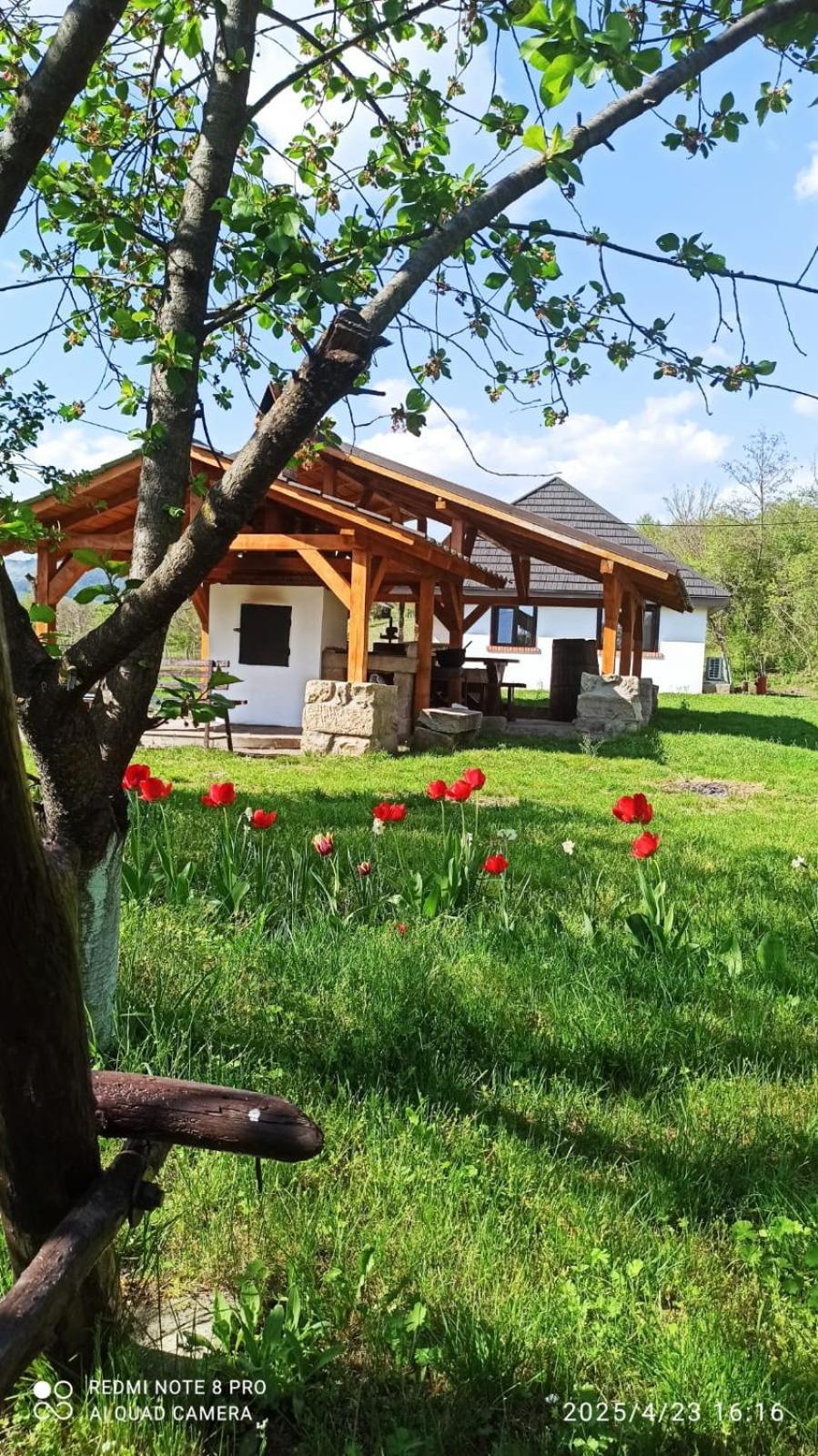Casa Livada Bunicii Villa Tirgu Ocna Bagian luar foto