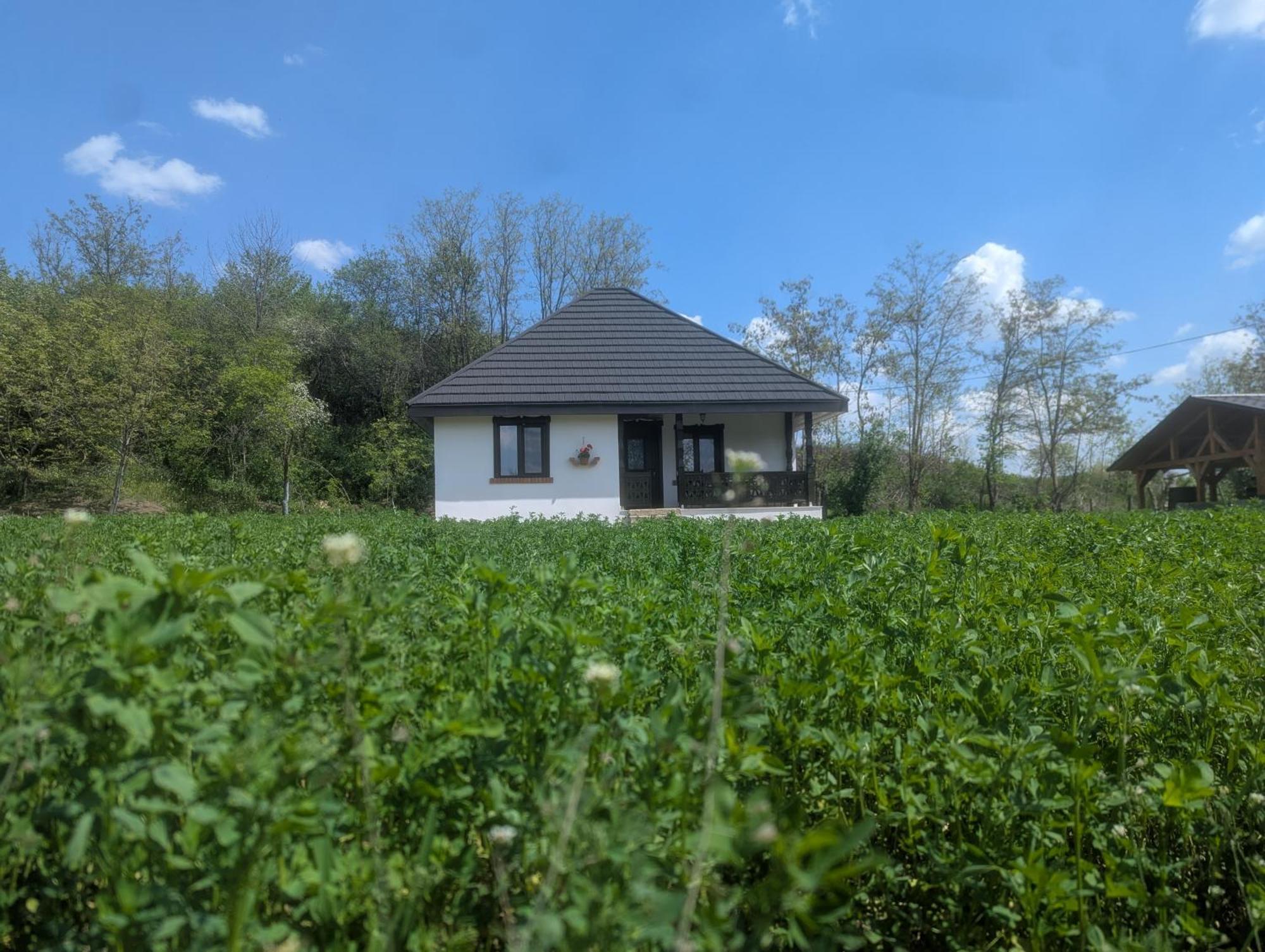 Casa Livada Bunicii Villa Tirgu Ocna Ruang foto